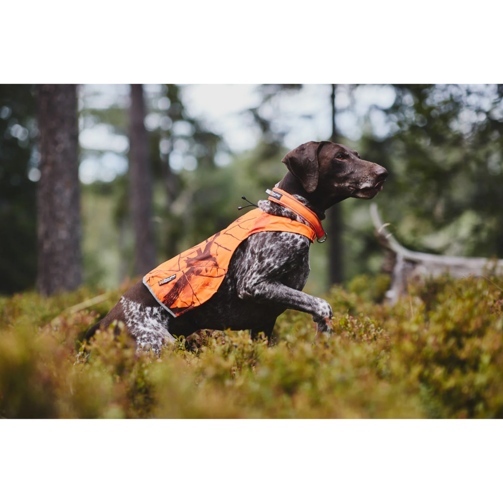PETTORINA CAMO PRO
