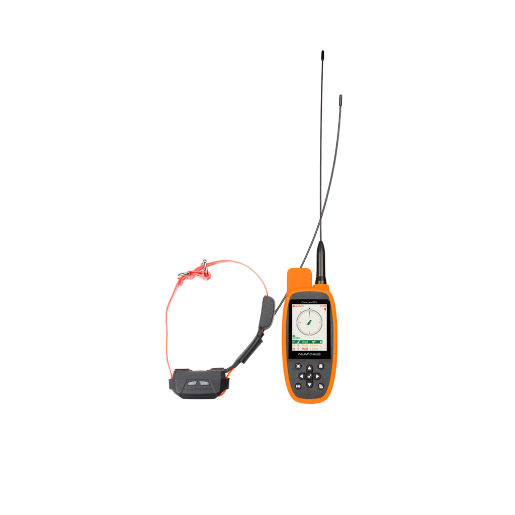 CANICOM GPS MINI CON ADDESTRAMENTO