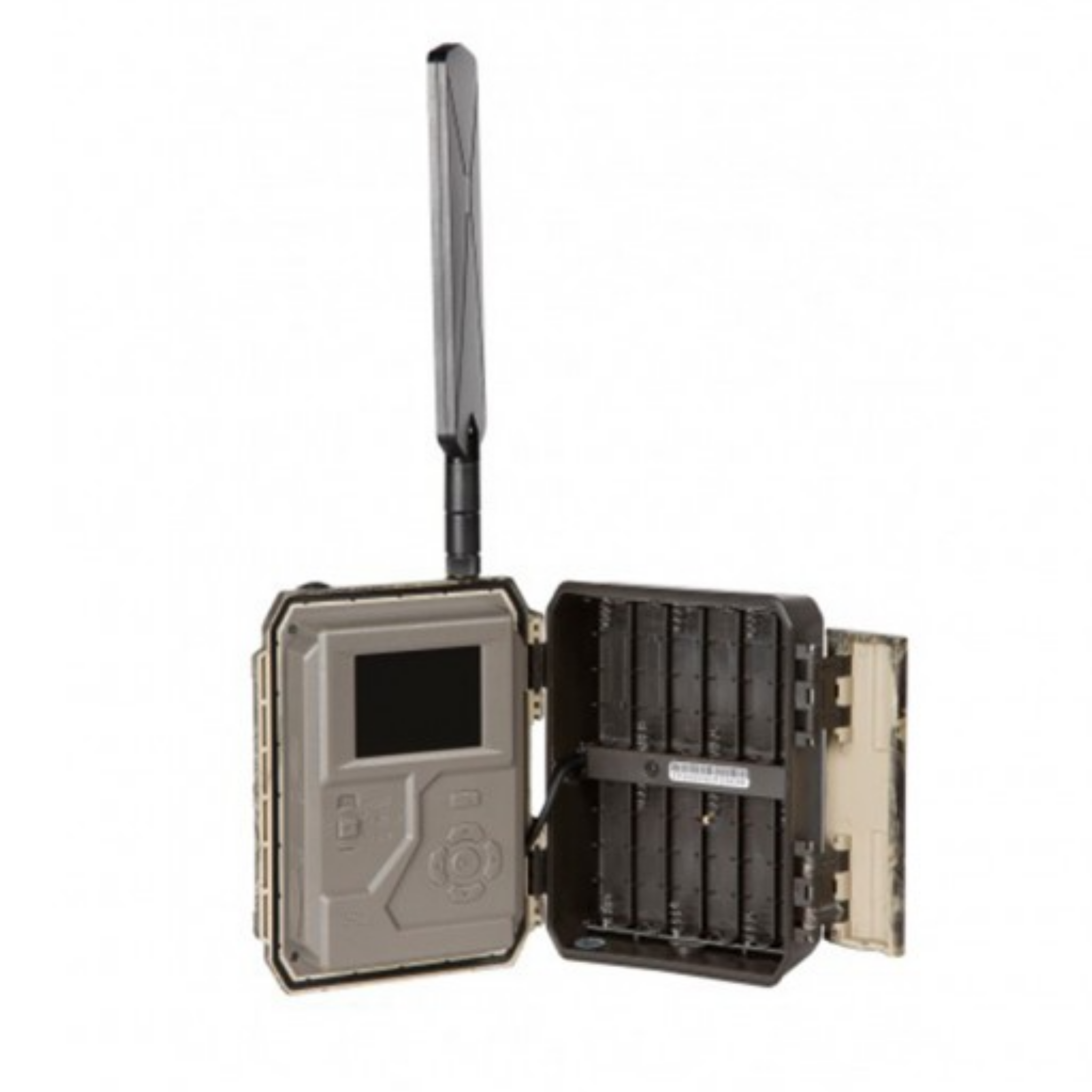 FOTOTRAPPOLA NUM'AXES PIE 1046