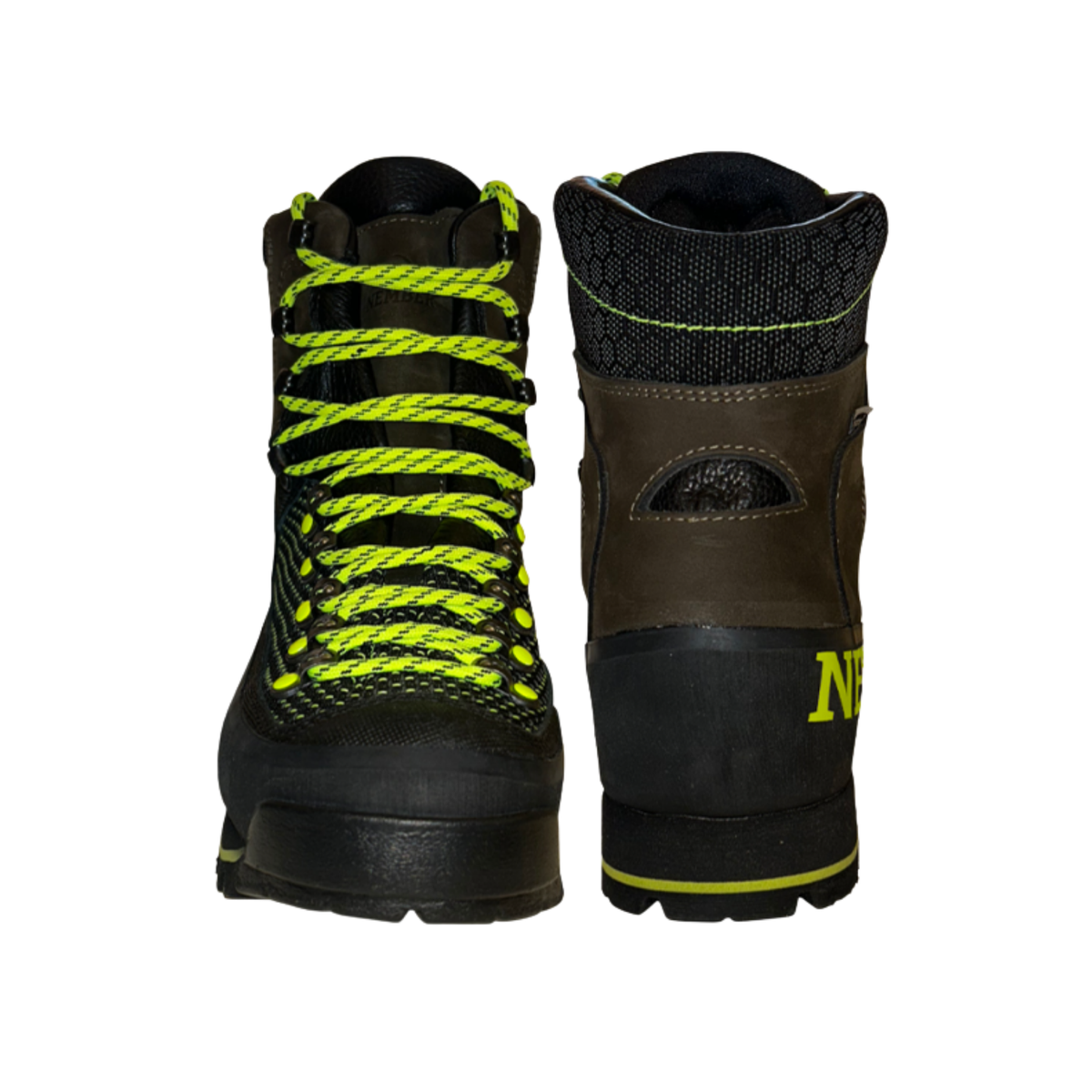 BITRABI NEMBEK RAPTOR