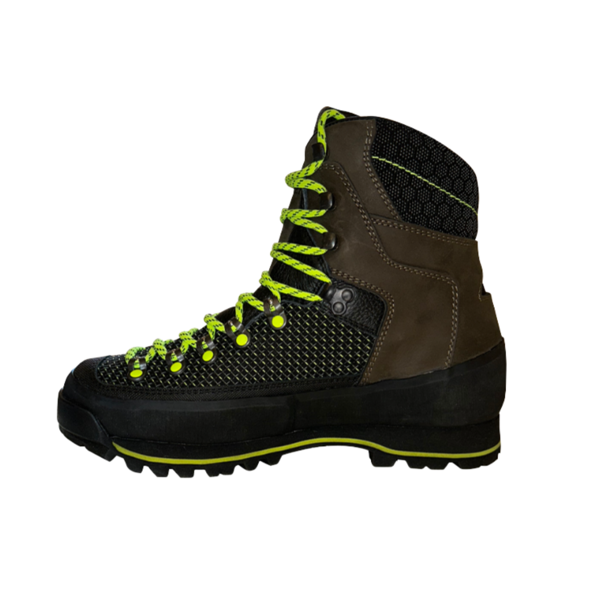 BITRABI NEMBEK RAPTOR